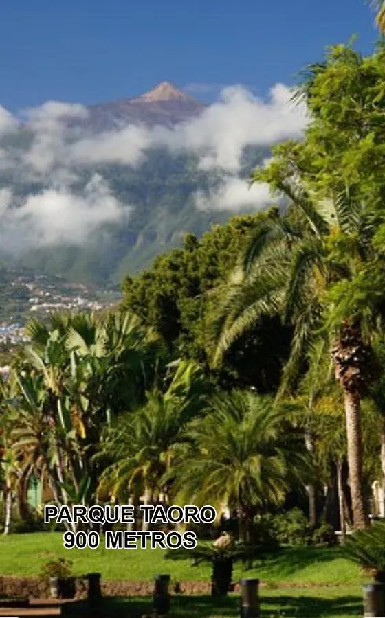 Toplage. Blick. Sauber. Guenstig. Pool. Gepflegt Puerto de la Cruz  İspanya